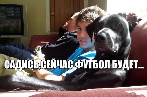 Обзор Трибуны